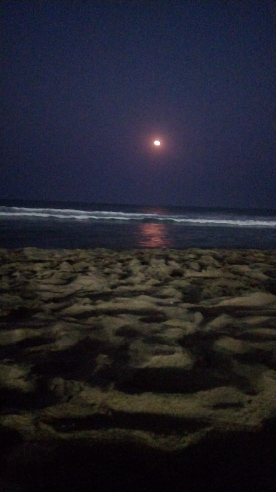 Moon Capture